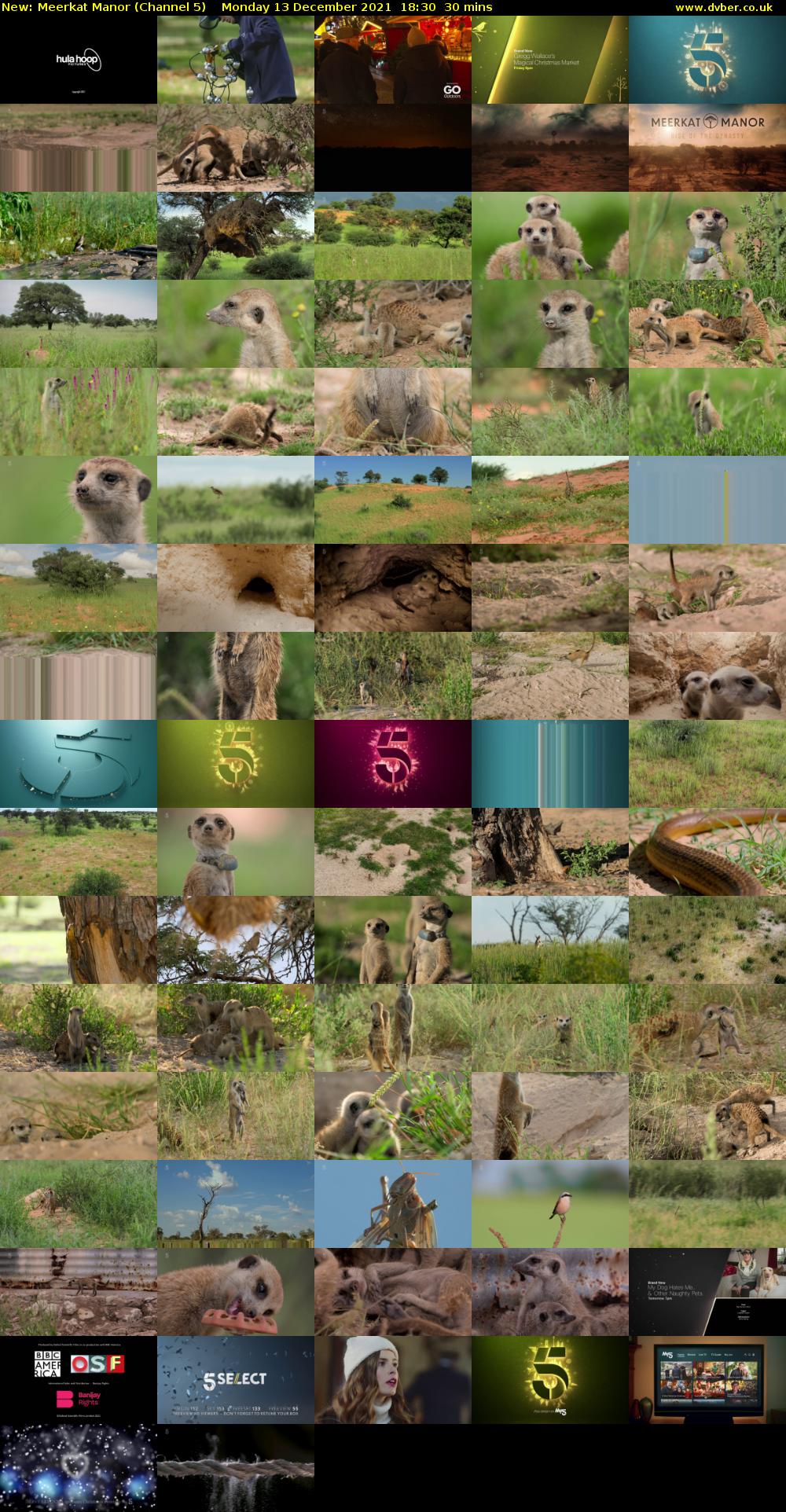 Meerkat Manor (Channel 5) Monday 13 December 2021 18:30 - 19:00