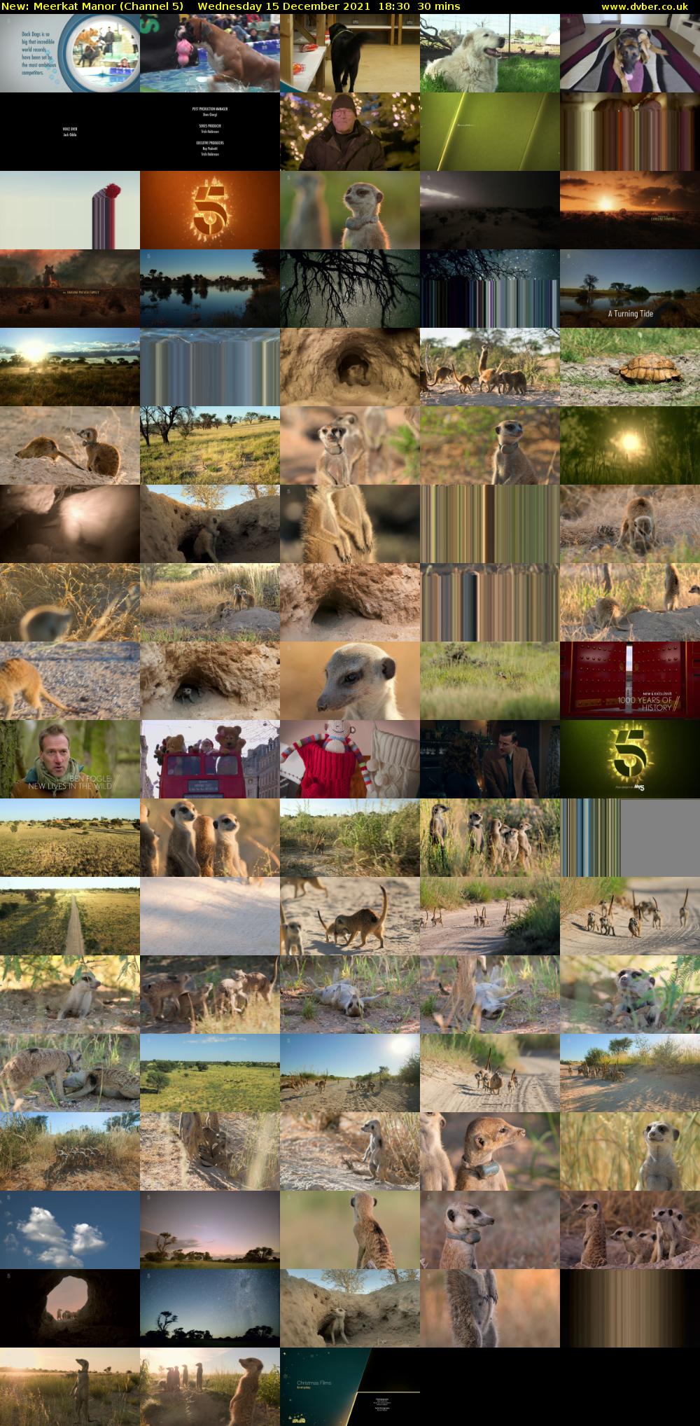 Meerkat Manor (Channel 5) Wednesday 15 December 2021 18:30 - 19:00