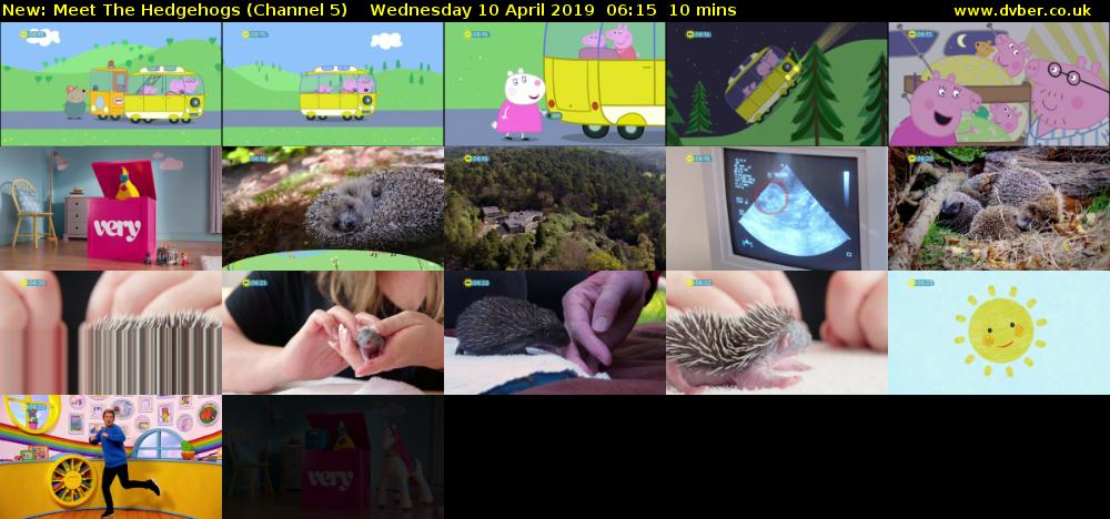 Meet The Hedgehogs (Channel 5) Wednesday 10 April 2019 06:15 - 06:25