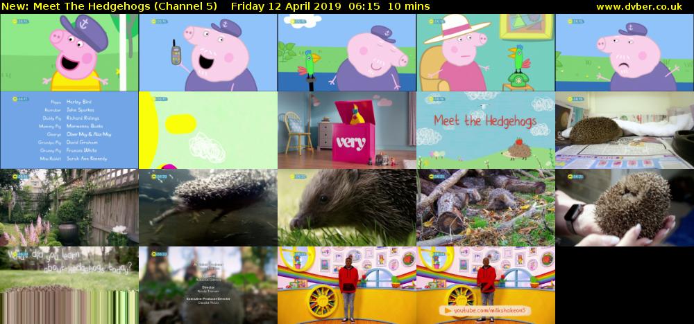 Meet The Hedgehogs (Channel 5) Friday 12 April 2019 06:15 - 06:25
