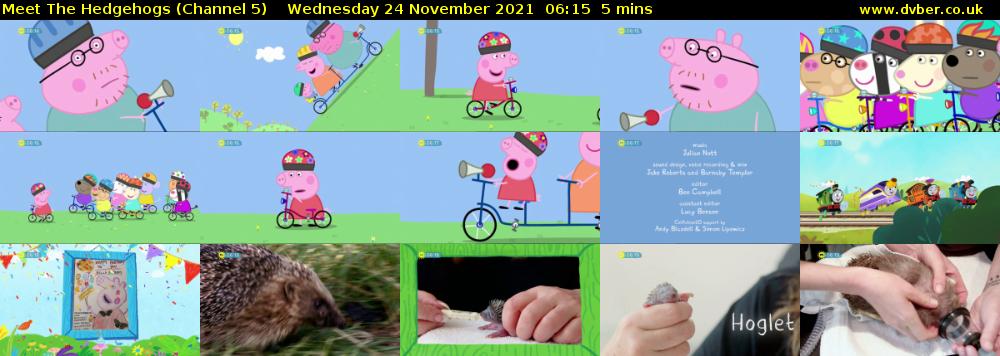 Meet The Hedgehogs (Channel 5) Wednesday 24 November 2021 06:15 - 06:20