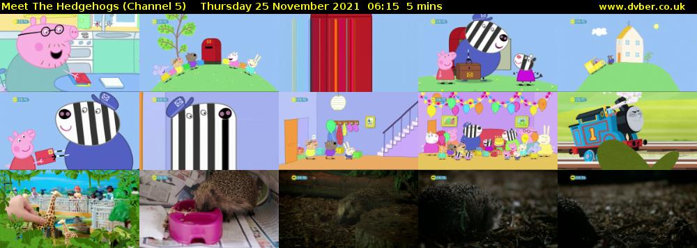 Meet The Hedgehogs (Channel 5) Thursday 25 November 2021 06:15 - 06:20
