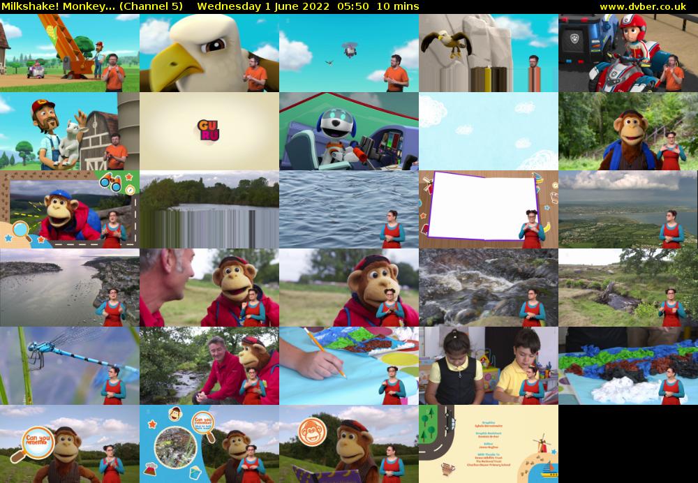 Milkshake! Monkey... (Channel 5) Wednesday 1 June 2022 05:50 - 06:00