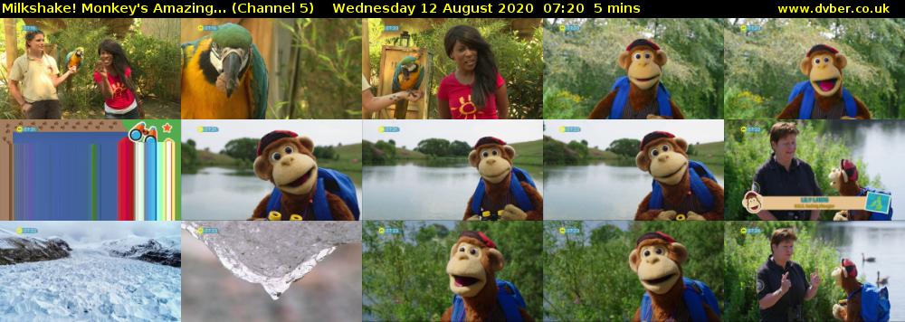 Milkshake! Monkey's Amazing... (Channel 5) Wednesday 12 August 2020 07:20 - 07:25