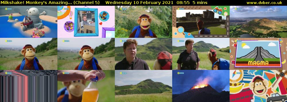 Milkshake! Monkey's Amazing... (Channel 5) Wednesday 10 February 2021 08:55 - 09:00