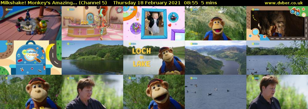 Milkshake! Monkey's Amazing... (Channel 5) Thursday 18 February 2021 08:55 - 09:00