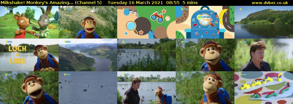 Milkshake! Monkey's Amazing... (Channel 5) Tuesday 16 March 2021 08:55 - 09:00