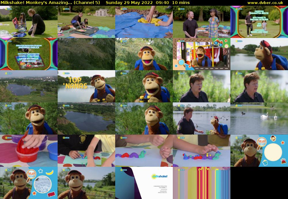 Milkshake! Monkey's Amazing... (Channel 5) Sunday 29 May 2022 09:40 - 09:50