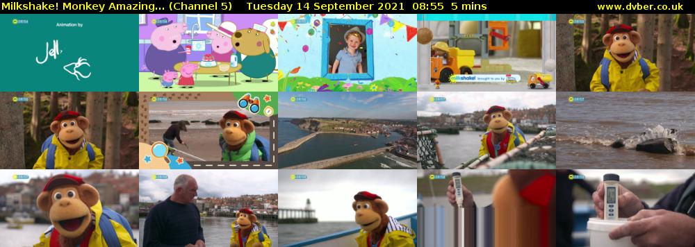 Milkshake! Monkey Amazing... (Channel 5) Tuesday 14 September 2021 08:55 - 09:00