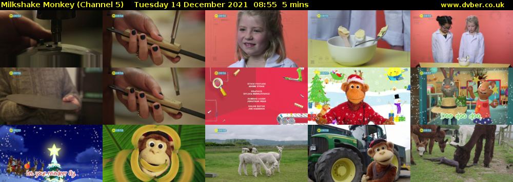 Milkshake Monkey (Channel 5) Tuesday 14 December 2021 08:55 - 09:00