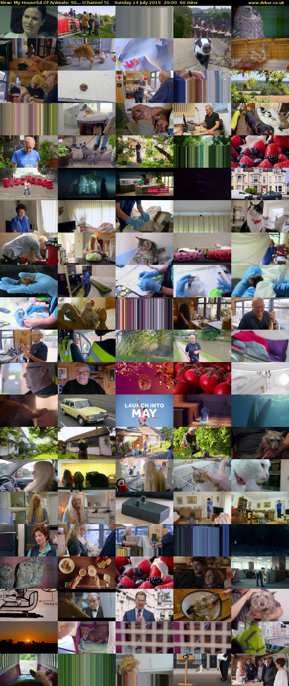 My Houseful Of Animals: 90... (Channel 5) Sunday 14 July 2019 20:00 - 21:00