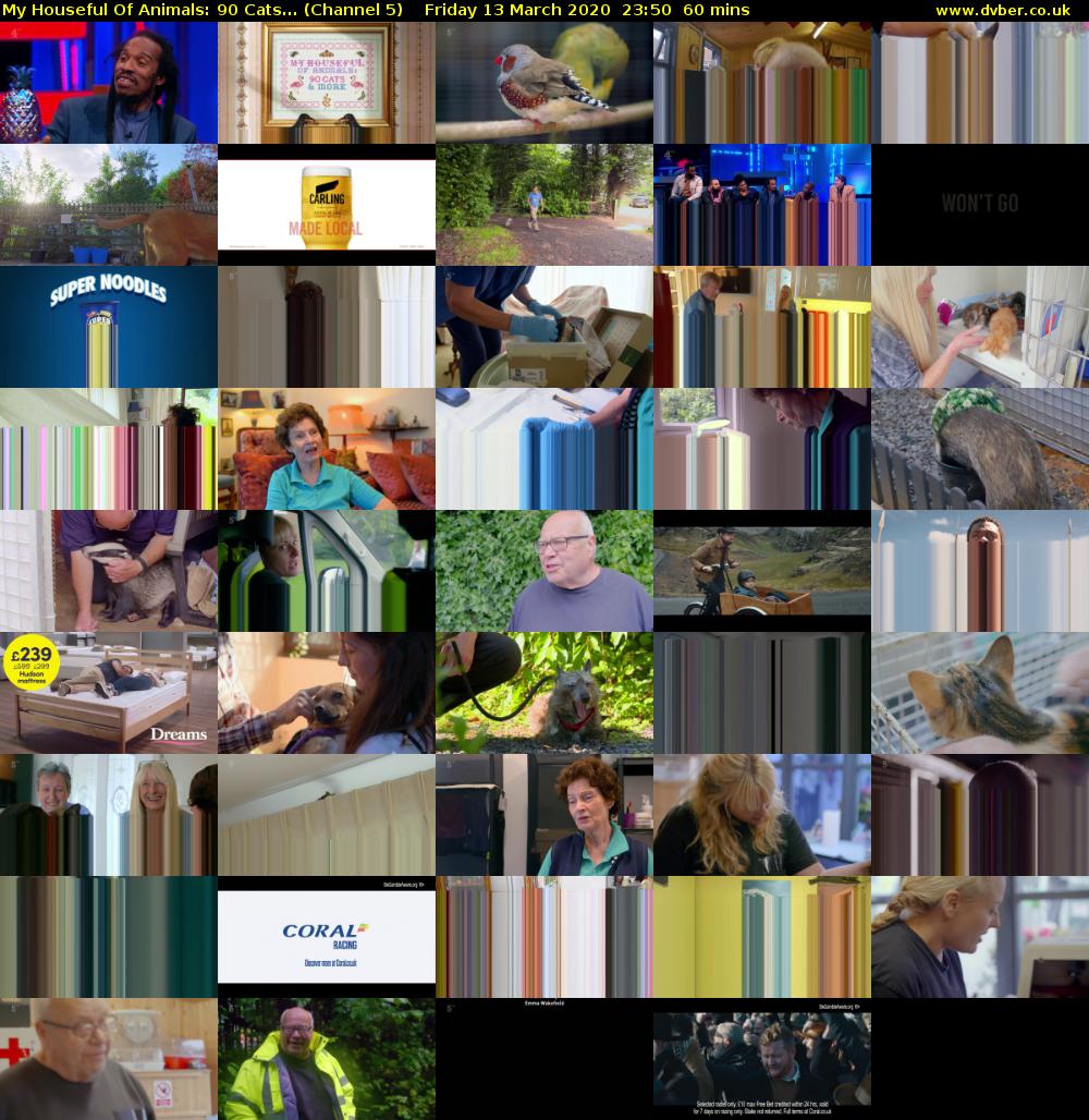 My Houseful Of Animals: 90 Cats... (Channel 5) Friday 13 March 2020 23:50 - 00:50