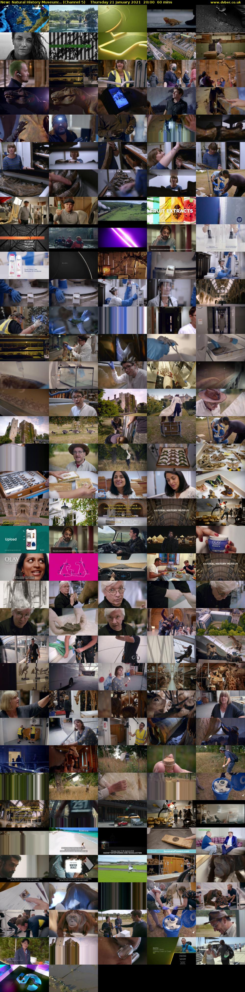 Natural History Museum:.. (Channel 5) Thursday 21 January 2021 20:00 - 21:00