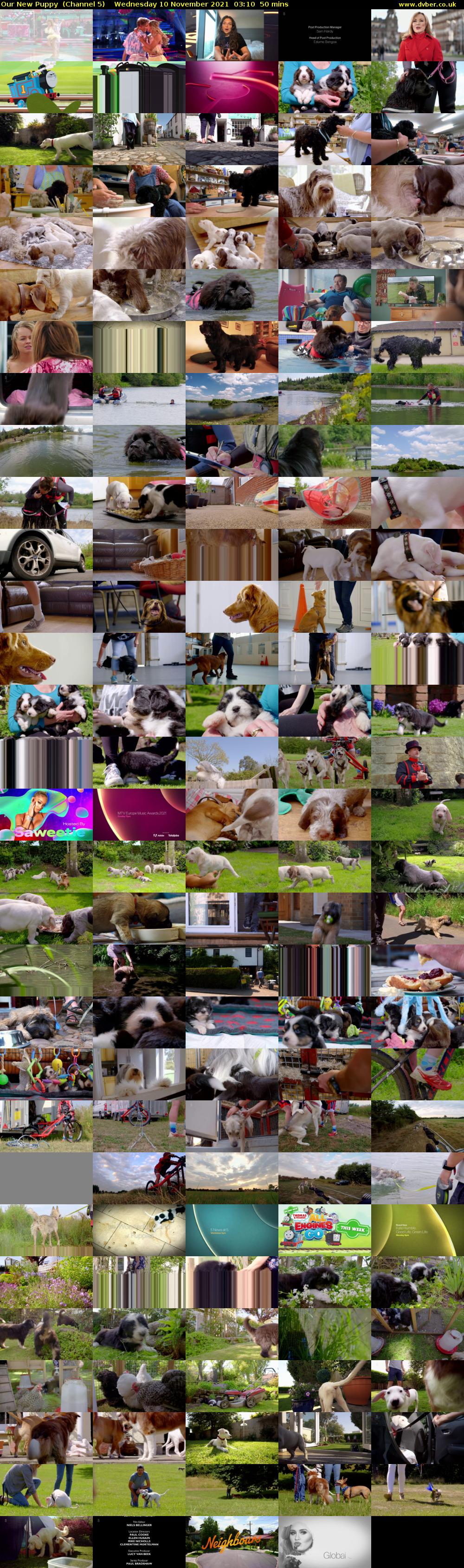 Our New Puppy  (Channel 5) Wednesday 10 November 2021 03:10 - 04:00