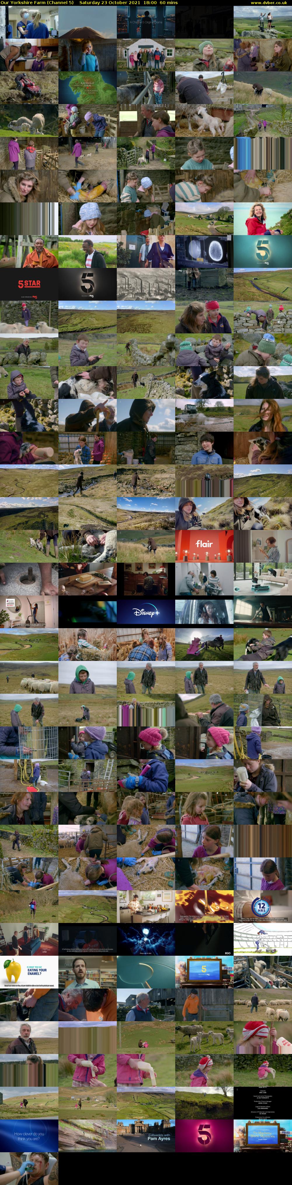 Our Yorkshire Farm (Channel 5) Saturday 23 October 2021 18:00 - 19:00