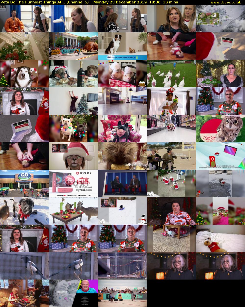 Pets Do The Funniest Things At... (Channel 5) Monday 23 December 2019 18:30 - 19:00