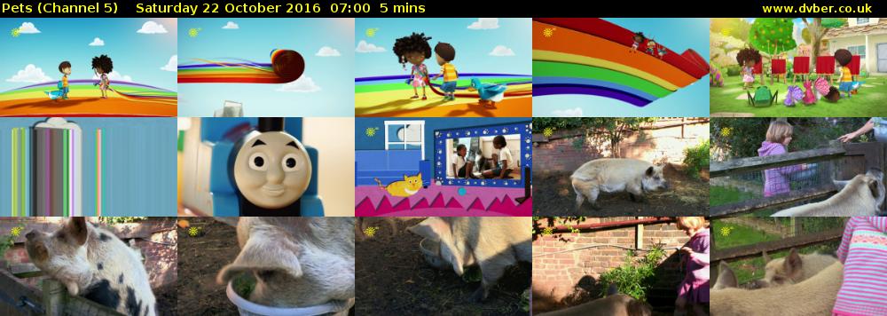 Pets (Channel 5) Saturday 22 October 2016 07:00 - 07:05