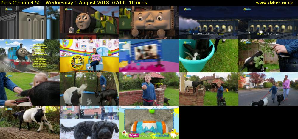 Pets (Channel 5) Wednesday 1 August 2018 07:00 - 07:10