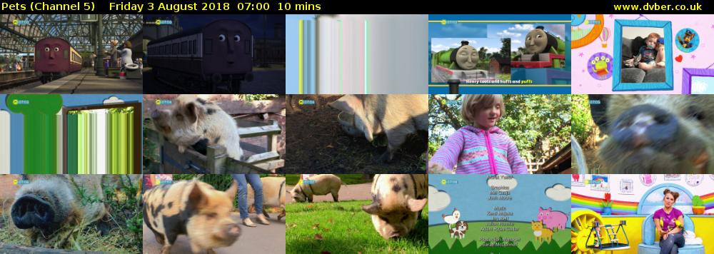 Pets (Channel 5) Friday 3 August 2018 07:00 - 07:10
