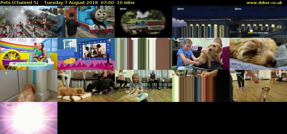 Pets (Channel 5) Tuesday 7 August 2018 07:00 - 07:10