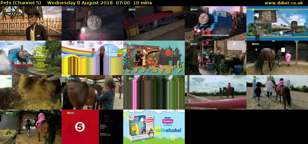 Pets (Channel 5) Wednesday 8 August 2018 07:00 - 07:10