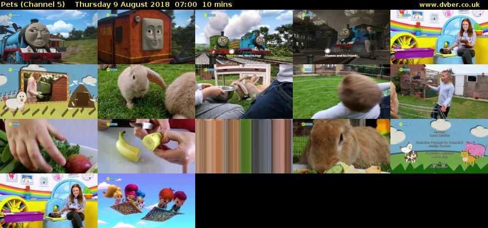 Pets (Channel 5) Thursday 9 August 2018 07:00 - 07:10