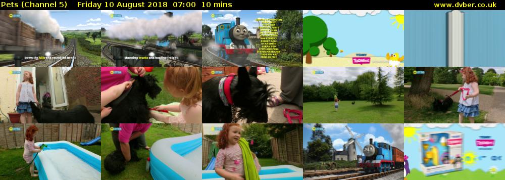 Pets (Channel 5) Friday 10 August 2018 07:00 - 07:10