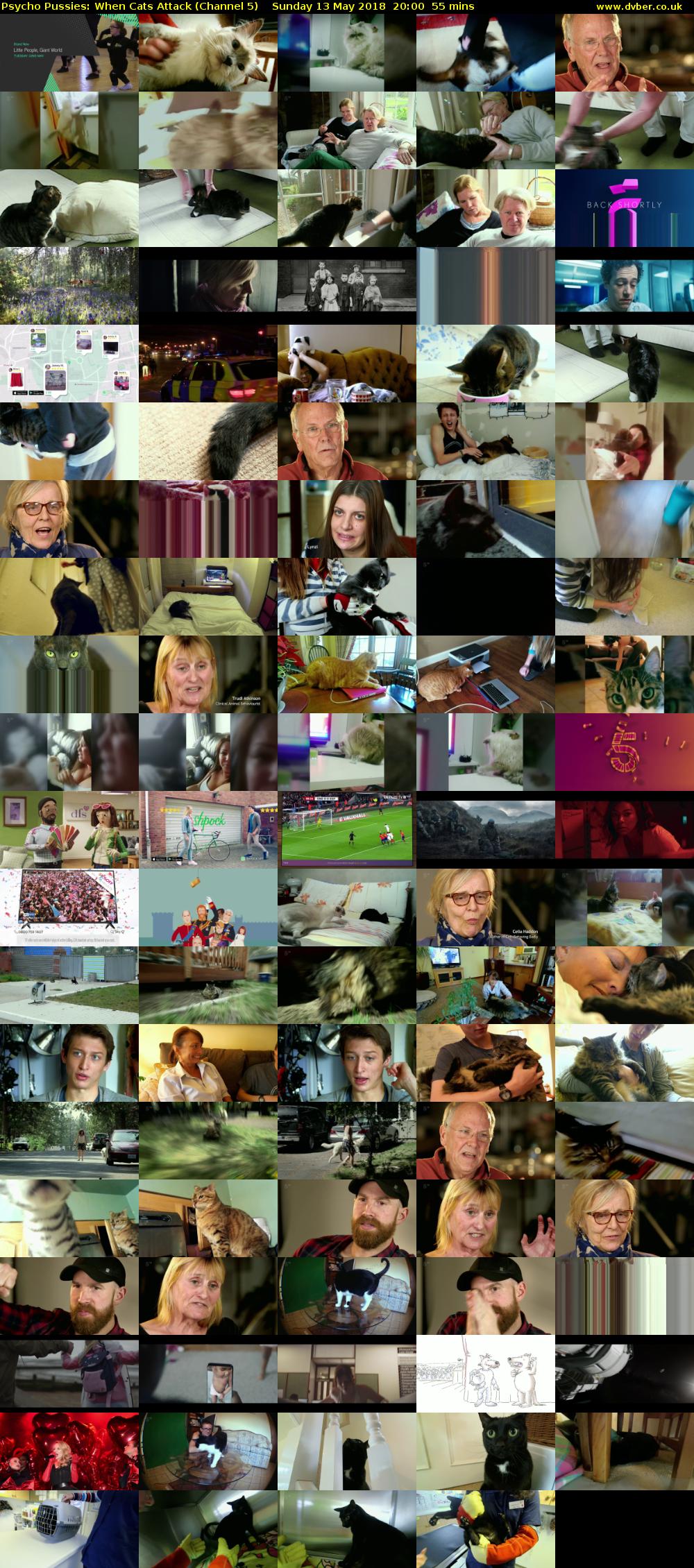 Psycho Pussies: When Cats Attack (Channel 5) Sunday 13 May 2018 20:00 - 20:55
