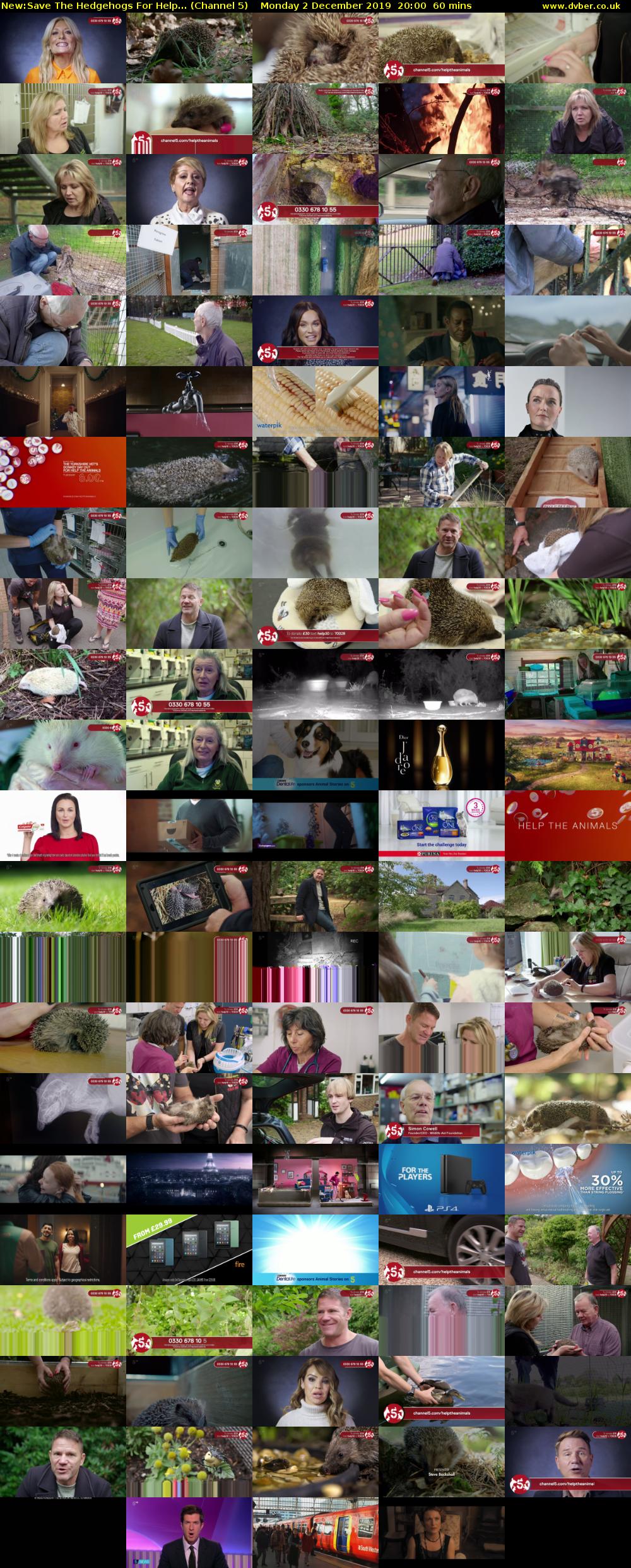 Save The Hedgehogs For Help... (Channel 5) Monday 2 December 2019 20:00 - 21:00