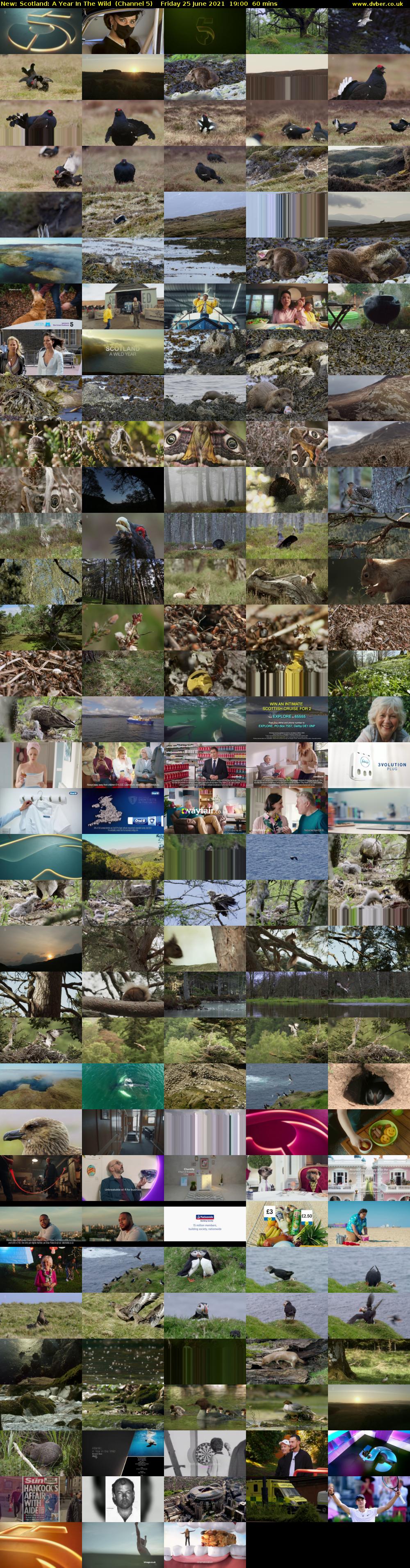 Scotland: A Year In The Wild (Channel 5) Friday 25 June 2021 19:00 - 20:00
