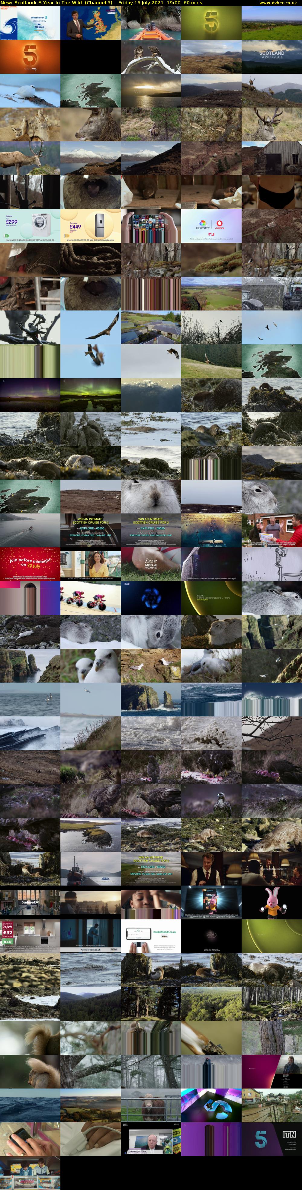 Scotland: A Year In The Wild (Channel 5) Friday 16 July 2021 19:00 - 20:00