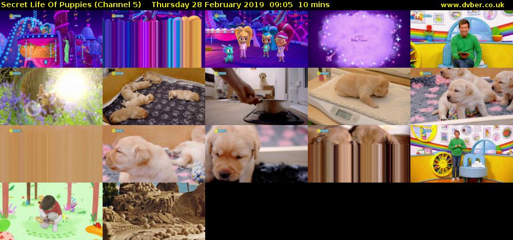 Secret Life Of Puppies (Channel 5) Thursday 28 February 2019 09:05 - 09:15
