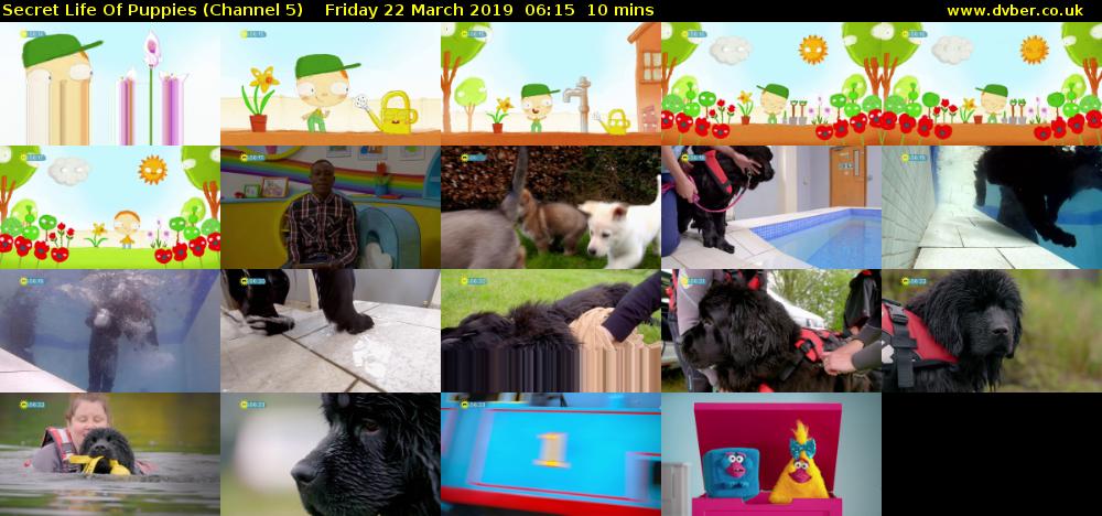 Secret Life Of Puppies (Channel 5) Friday 22 March 2019 06:15 - 06:25