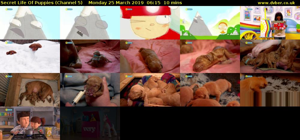 Secret Life Of Puppies (Channel 5) Monday 25 March 2019 06:15 - 06:25