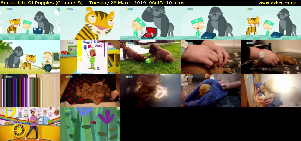 Secret Life Of Puppies (Channel 5) Tuesday 26 March 2019 06:15 - 06:25