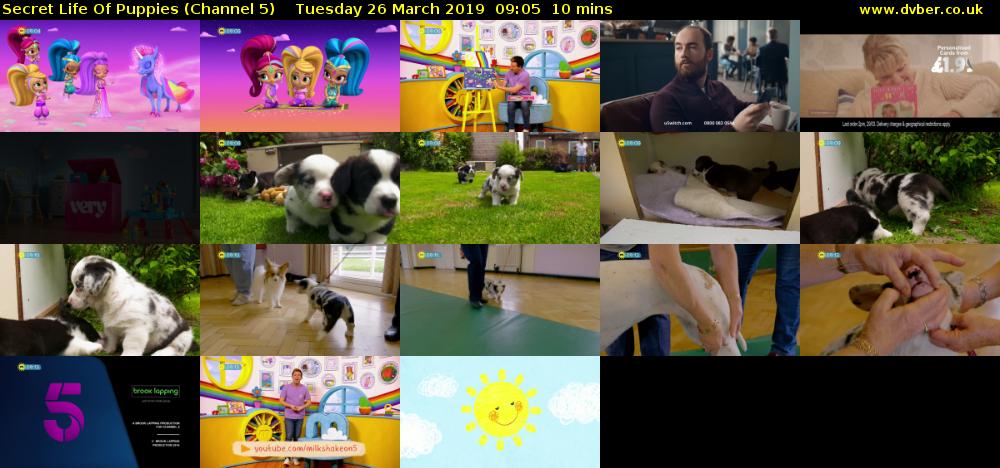 Secret Life Of Puppies (Channel 5) Tuesday 26 March 2019 09:05 - 09:15