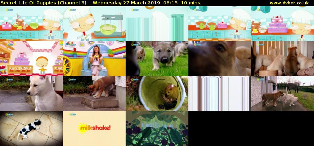 Secret Life Of Puppies (Channel 5) Wednesday 27 March 2019 06:15 - 06:25