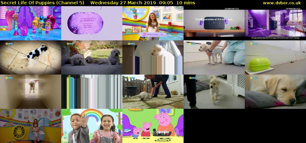 Secret Life Of Puppies (Channel 5) Wednesday 27 March 2019 09:05 - 09:15
