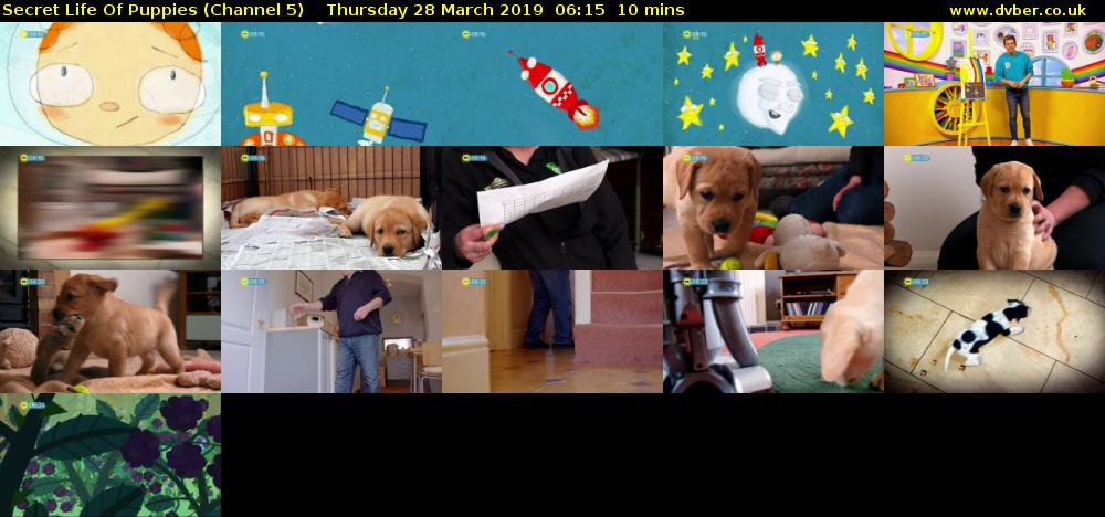 Secret Life Of Puppies (Channel 5) Thursday 28 March 2019 06:15 - 06:25
