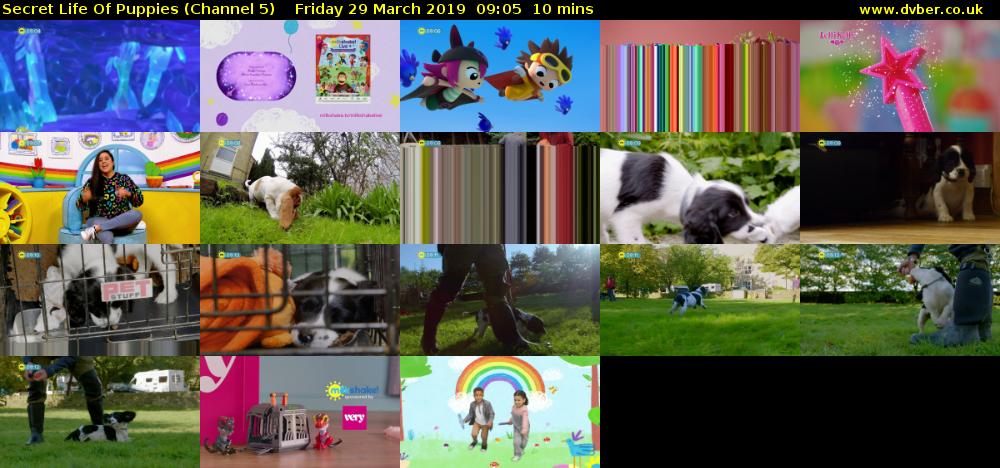 Secret Life Of Puppies (Channel 5) Friday 29 March 2019 09:05 - 09:15