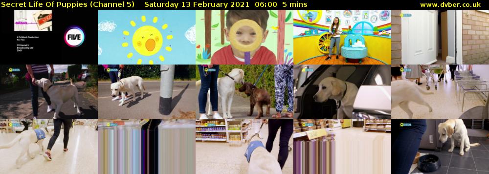 Secret Life Of Puppies (Channel 5) Saturday 13 February 2021 06:00 - 06:05