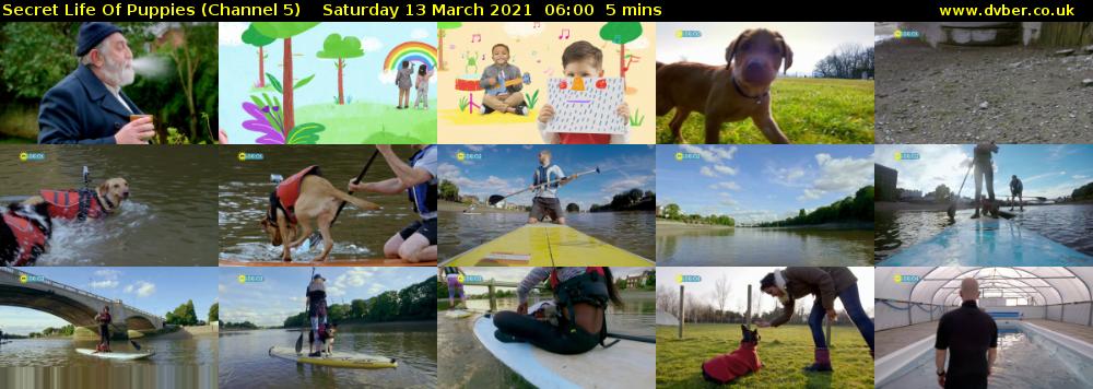 Secret Life Of Puppies (Channel 5) Saturday 13 March 2021 06:00 - 06:05