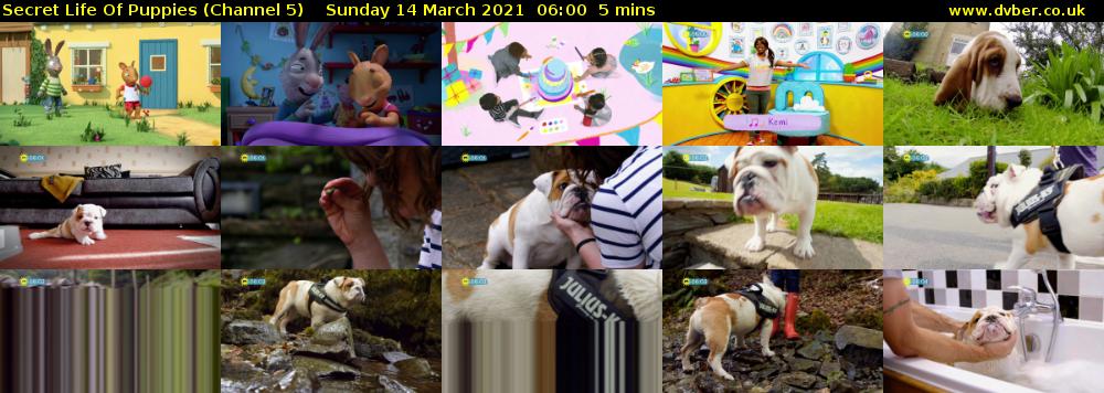 Secret Life Of Puppies (Channel 5) Sunday 14 March 2021 06:00 - 06:05