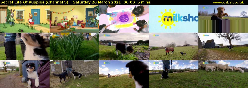 Secret Life Of Puppies (Channel 5) Saturday 20 March 2021 06:00 - 06:05
