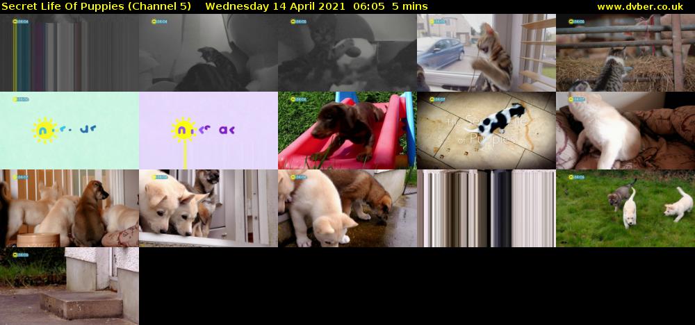 Secret Life Of Puppies (Channel 5) Wednesday 14 April 2021 06:05 - 06:10