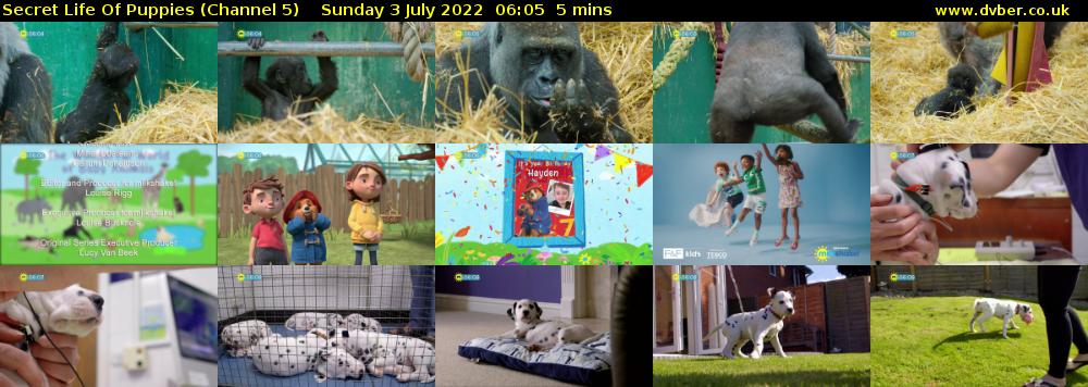 Secret Life Of Puppies (Channel 5) Sunday 3 July 2022 06:05 - 06:10