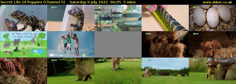 Secret Life Of Puppies (Channel 5) Saturday 9 July 2022 06:05 - 06:10