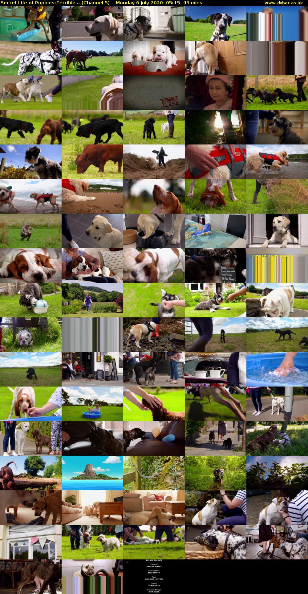 Secret Life of Puppies:Terrible... (Channel 5) Monday 6 July 2020 05:15 - 06:00