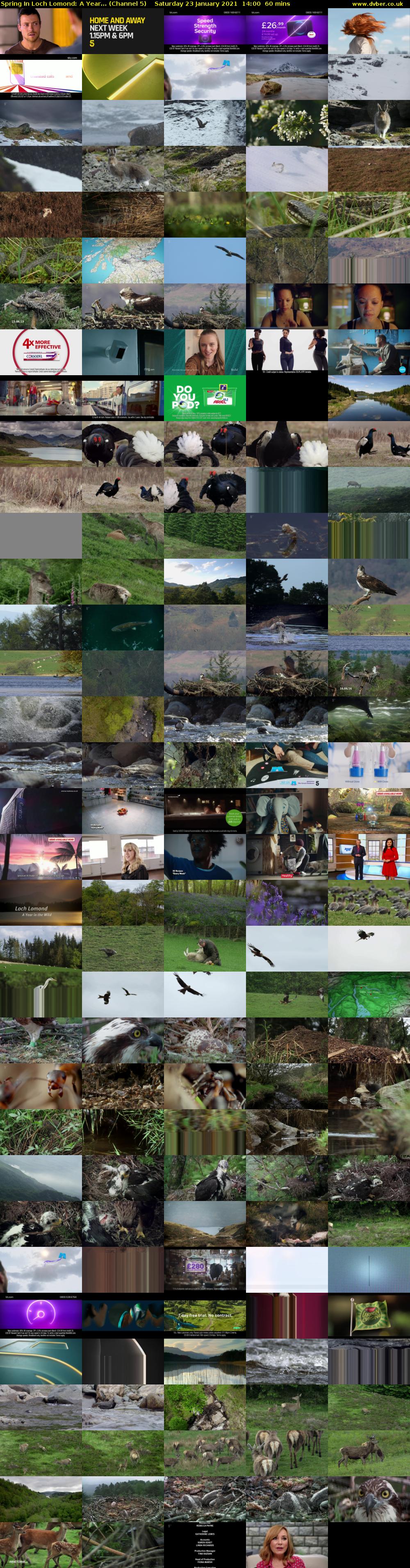 Spring In Loch Lomond: A Year... (Channel 5) Saturday 23 January 2021 14:00 - 15:00