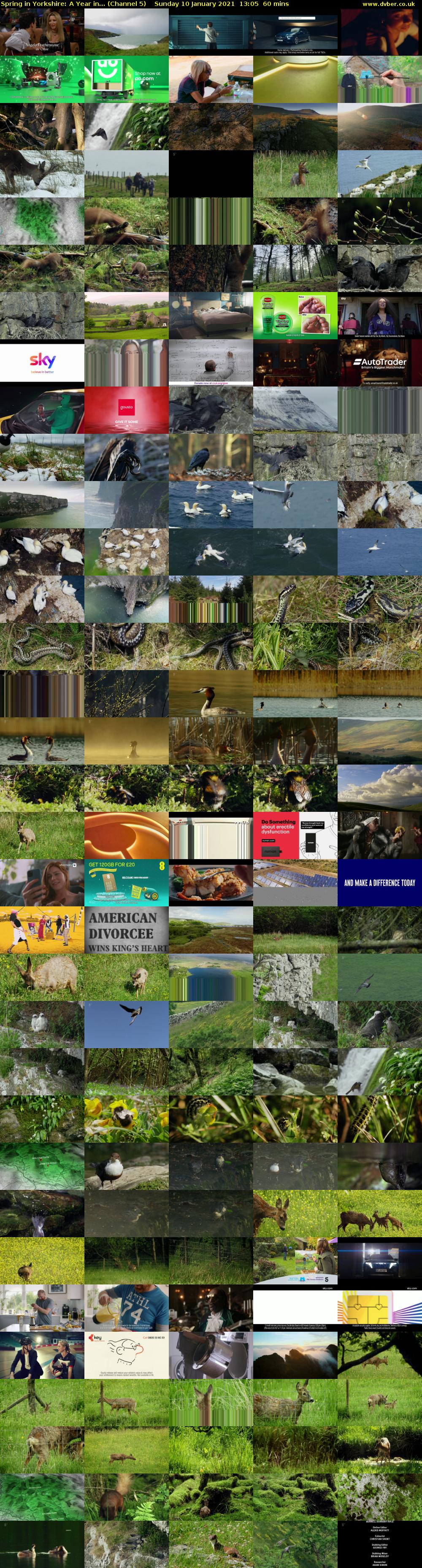 Spring in Yorkshire: A Year in... (Channel 5) Sunday 10 January 2021 13:05 - 14:05